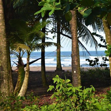 Hotel Pura Natura Beachfront Tortuguero Exteriér fotografie