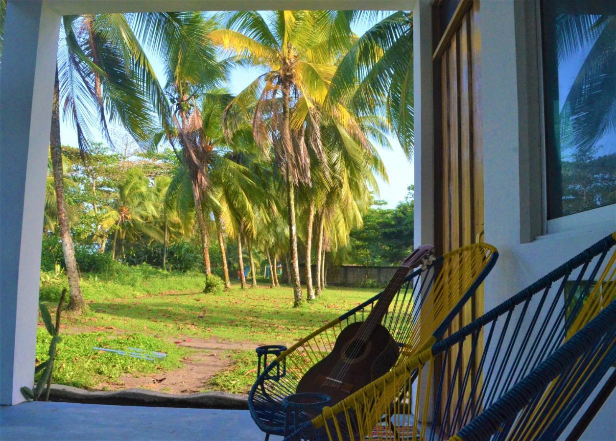 Hotel Pura Natura Beachfront Tortuguero Exteriér fotografie