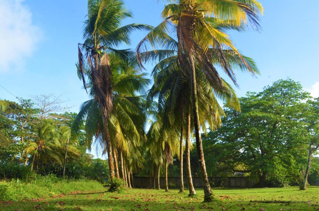 Hotel Pura Natura Beachfront Tortuguero Exteriér fotografie