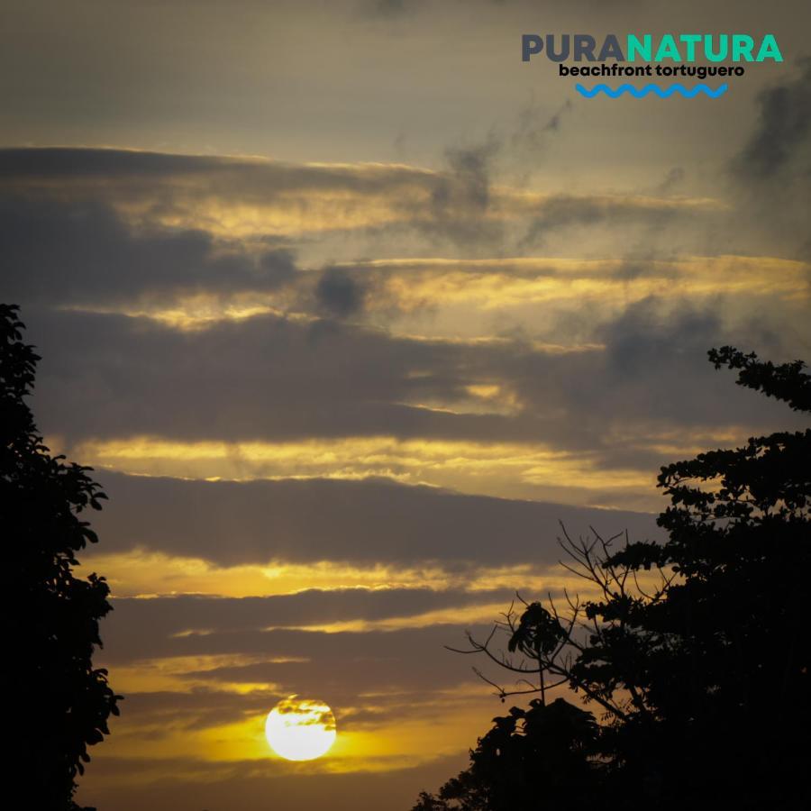 Hotel Pura Natura Beachfront Tortuguero Exteriér fotografie