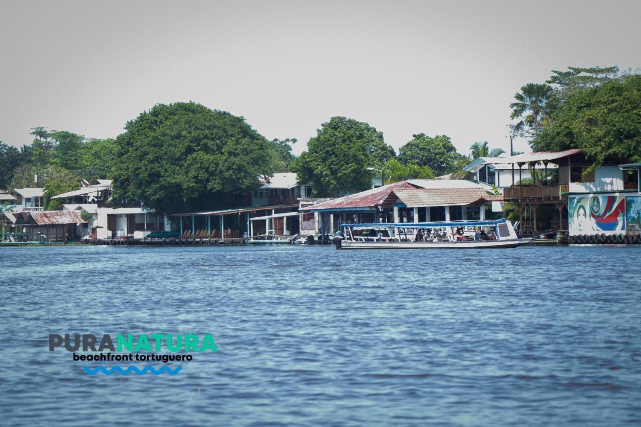 Hotel Pura Natura Beachfront Tortuguero Exteriér fotografie