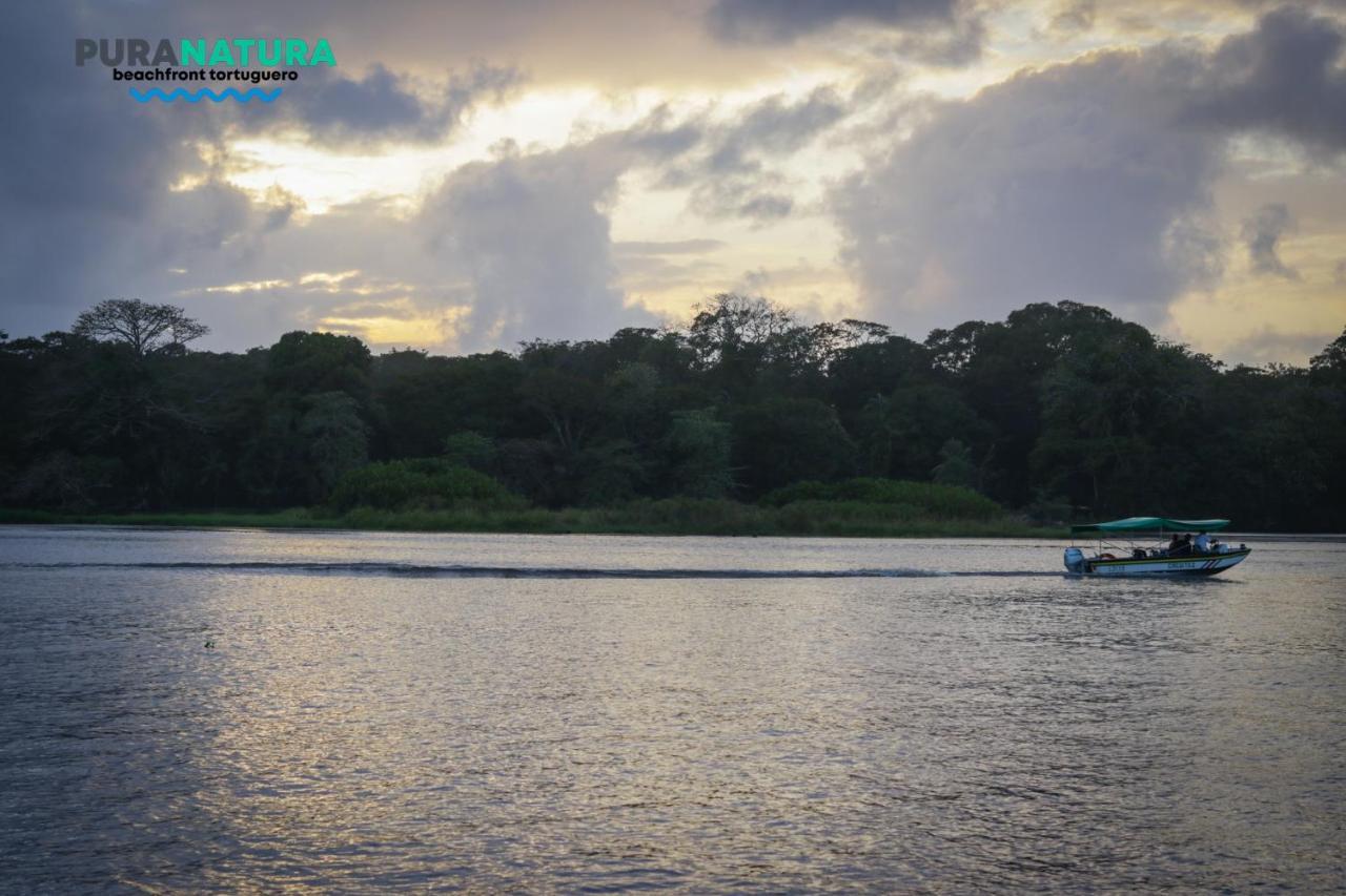 Hotel Pura Natura Beachfront Tortuguero Exteriér fotografie