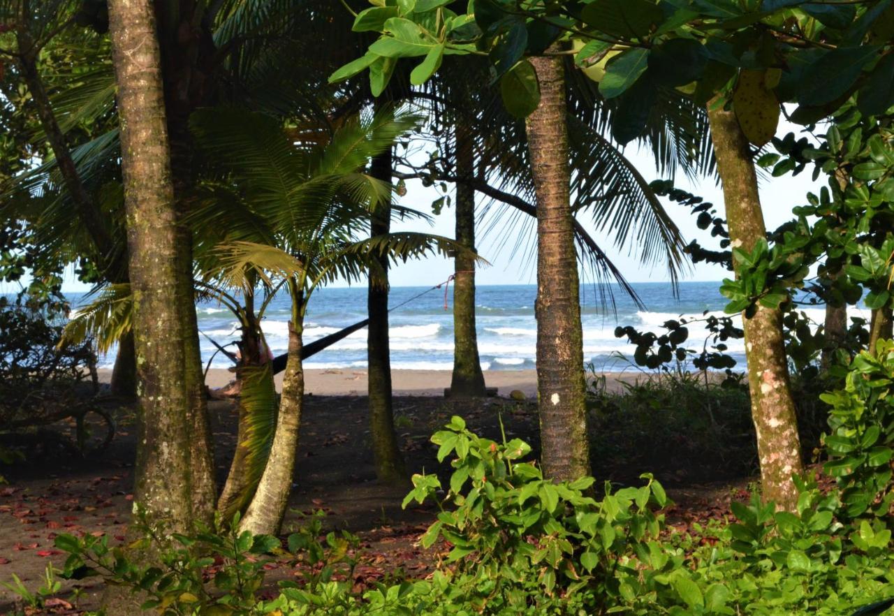 Hotel Pura Natura Beachfront Tortuguero Exteriér fotografie