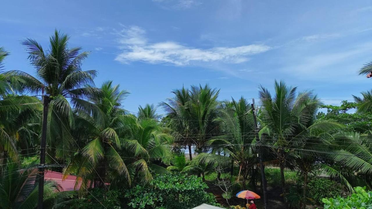 Hotel Pura Natura Beachfront Tortuguero Exteriér fotografie