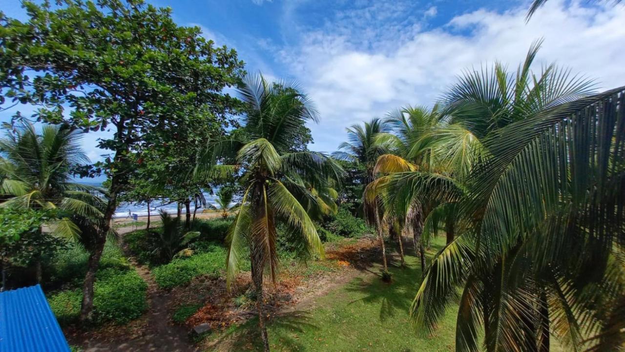 Hotel Pura Natura Beachfront Tortuguero Exteriér fotografie