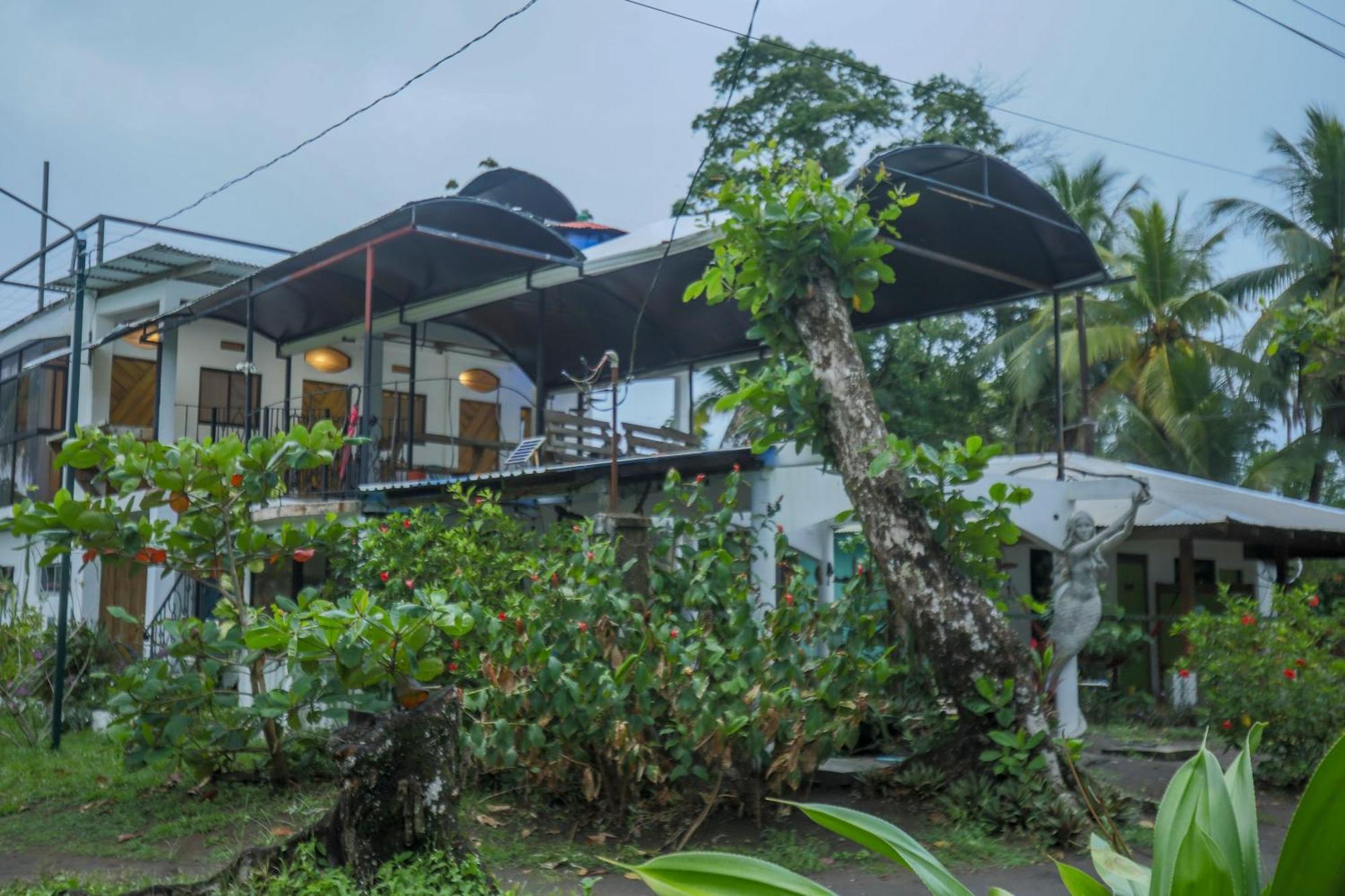 Hotel Pura Natura Beachfront Tortuguero Exteriér fotografie